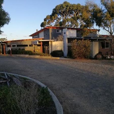 Swansea Backpacker Lodge 外观 照片