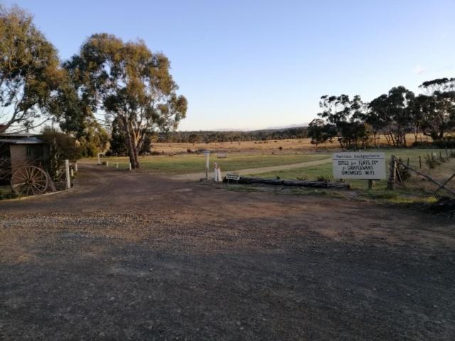 Swansea Backpacker Lodge 外观 照片